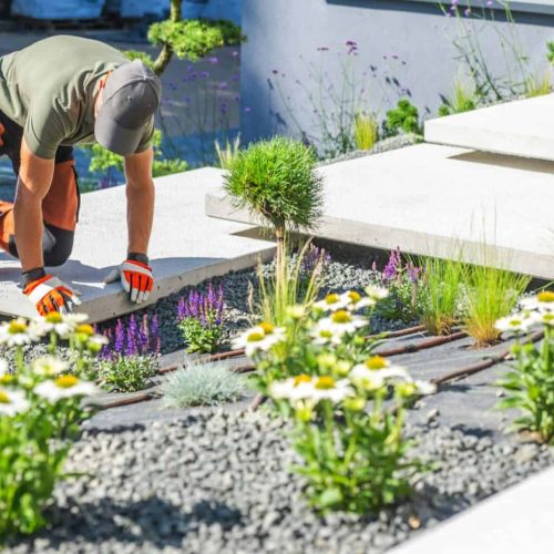 Gardener Planting Flowers in a Modern Landscape Design on a Sunny Day With Stone Pathways