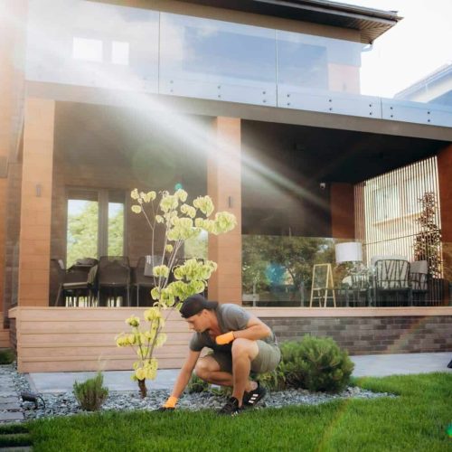 Portrait of a male landscape designer working on the site